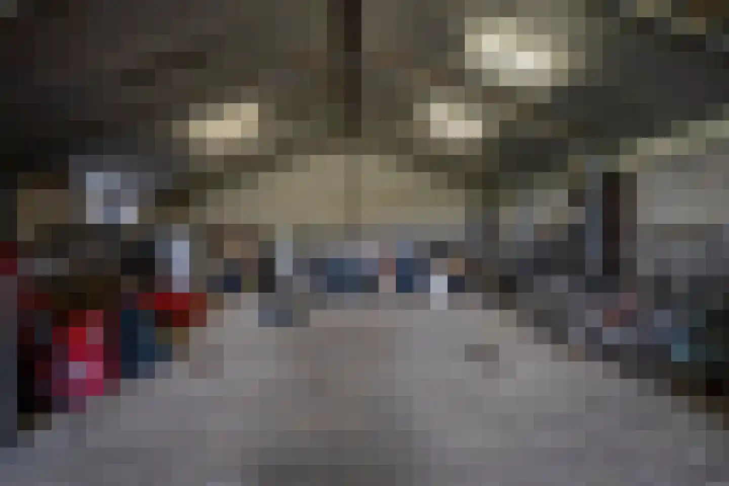 Carmelietenstraat 4 Smakt thumbnail 34