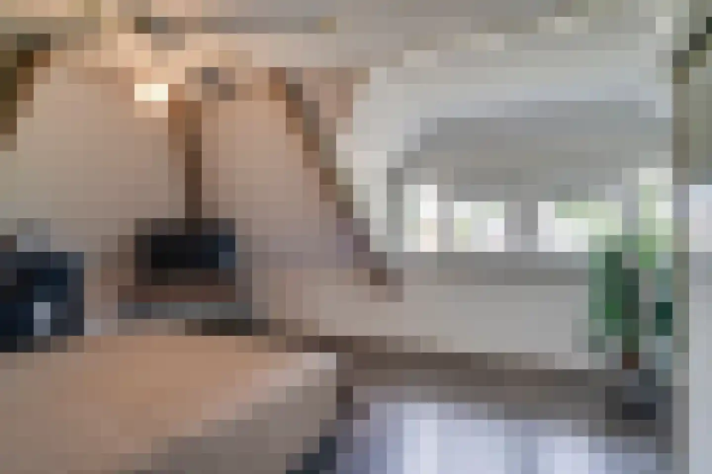 Carmelietenstraat 4 Smakt thumbnail 43