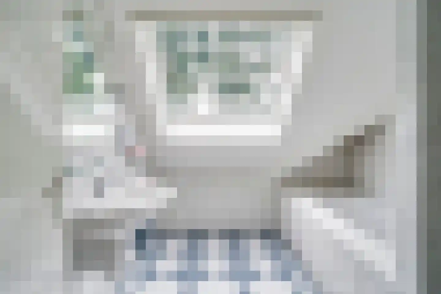 Carmelietenstraat 4 Smakt thumbnail 47