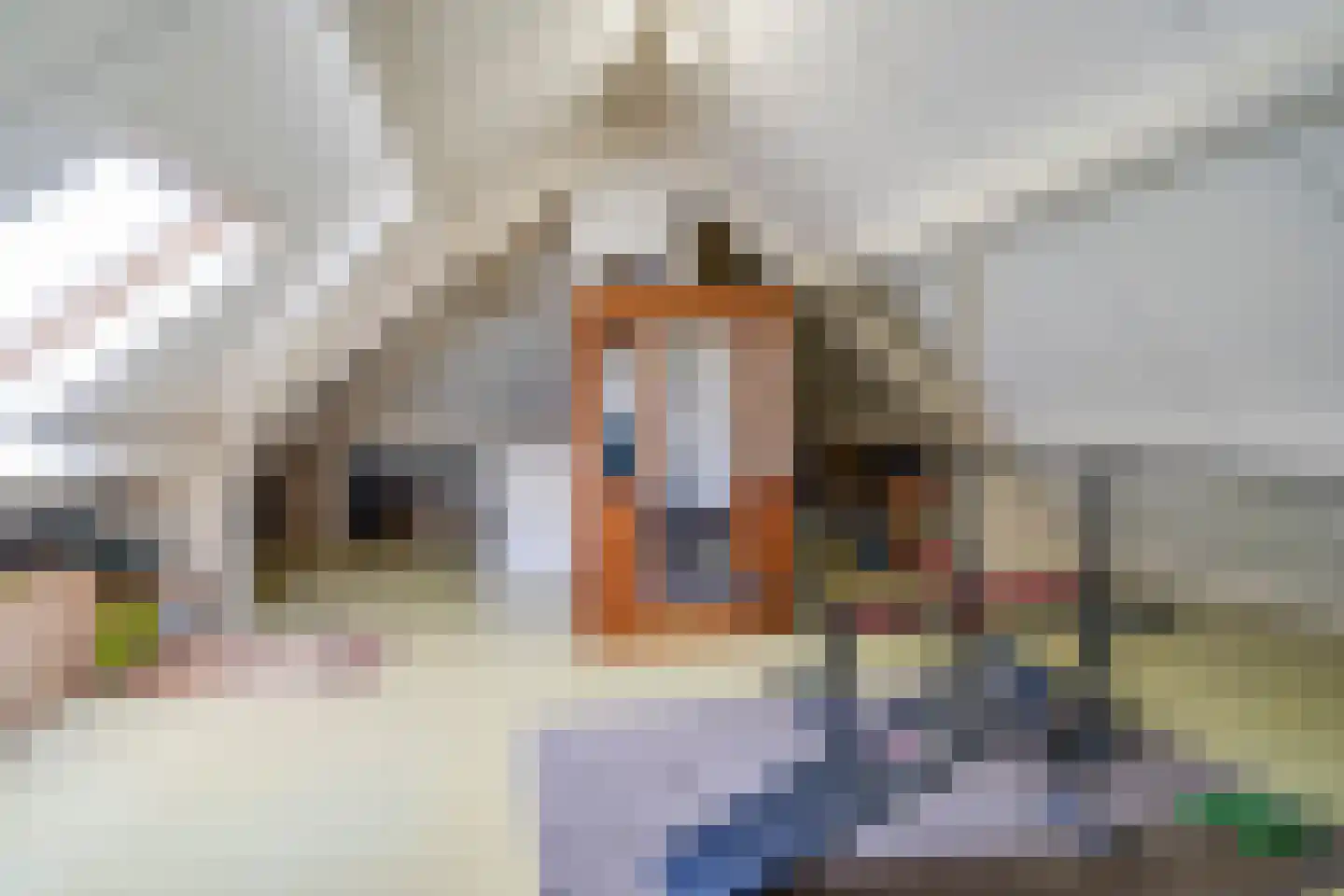 Carmelietenstraat 4 Smakt thumbnail 51