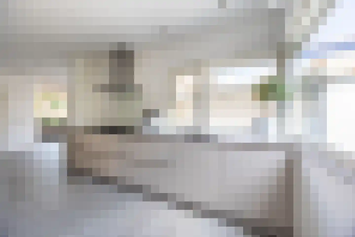 Carmelietenstraat 44 Waspik thumbnail 18