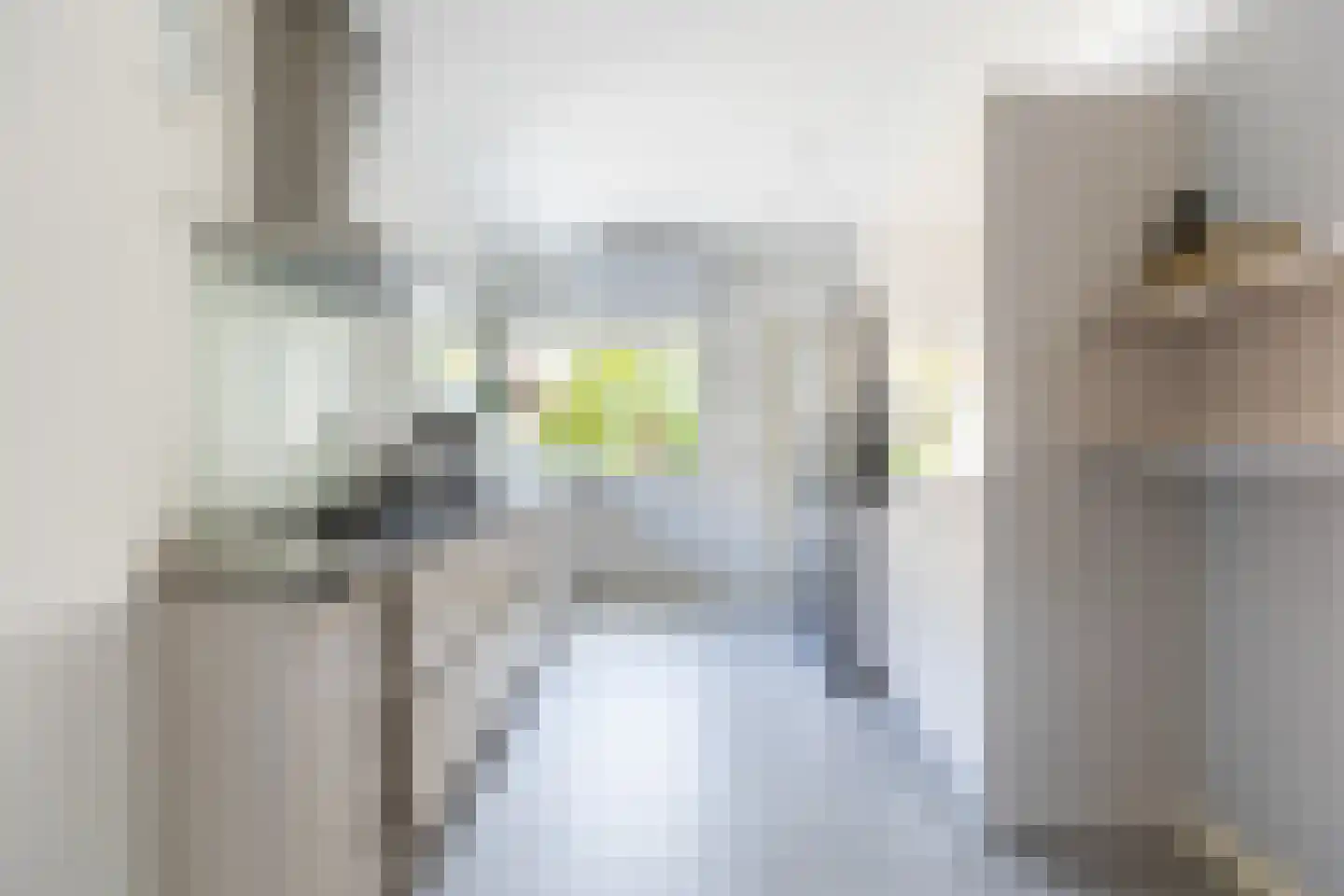 Carmelietenstraat 44 Waspik thumbnail 19