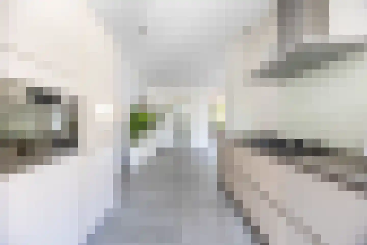 Carmelietenstraat 44 Waspik thumbnail 20