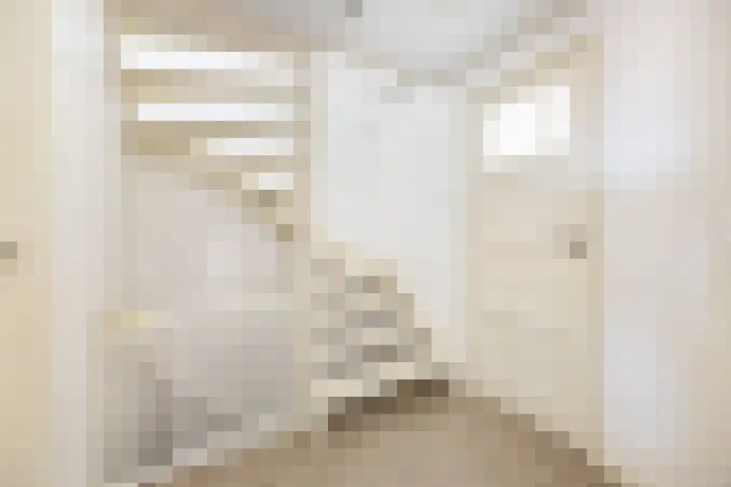 Carmelietenstraat 44 Waspik thumbnail 22