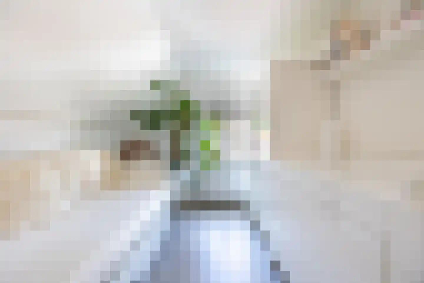 Carmelietenstraat 44 Waspik thumbnail 23