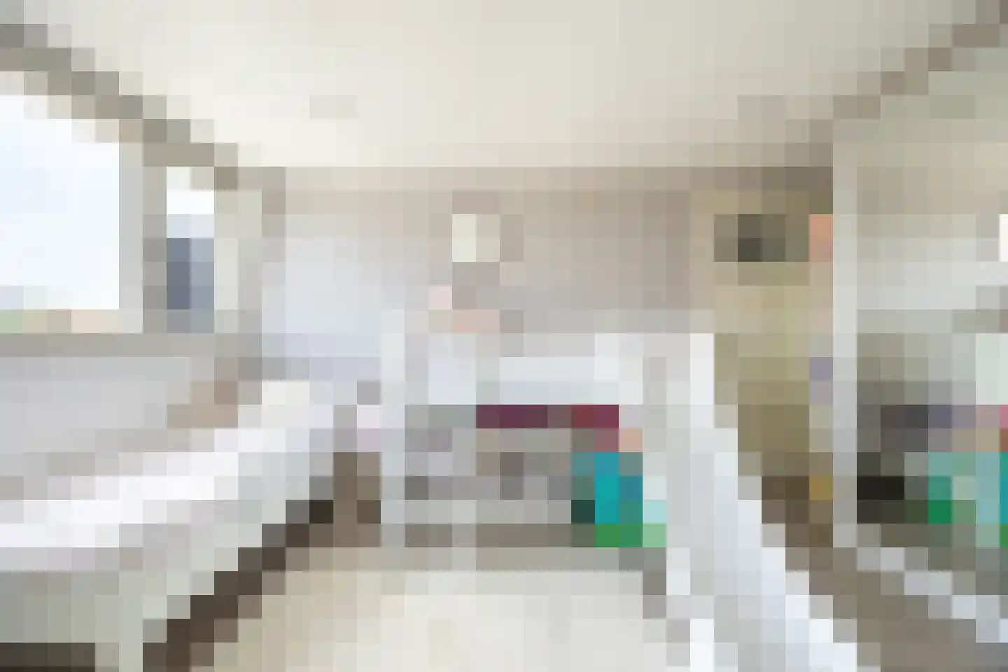Carmelietenstraat 44 Waspik thumbnail 29