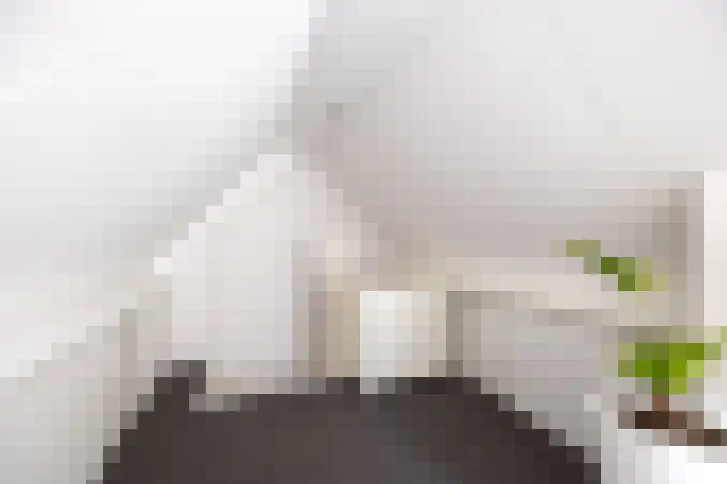 Carmelietenstraat 44 Waspik thumbnail 31