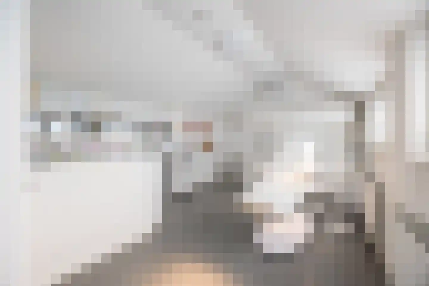 Carmelietenstraat 44 Waspik thumbnail 34