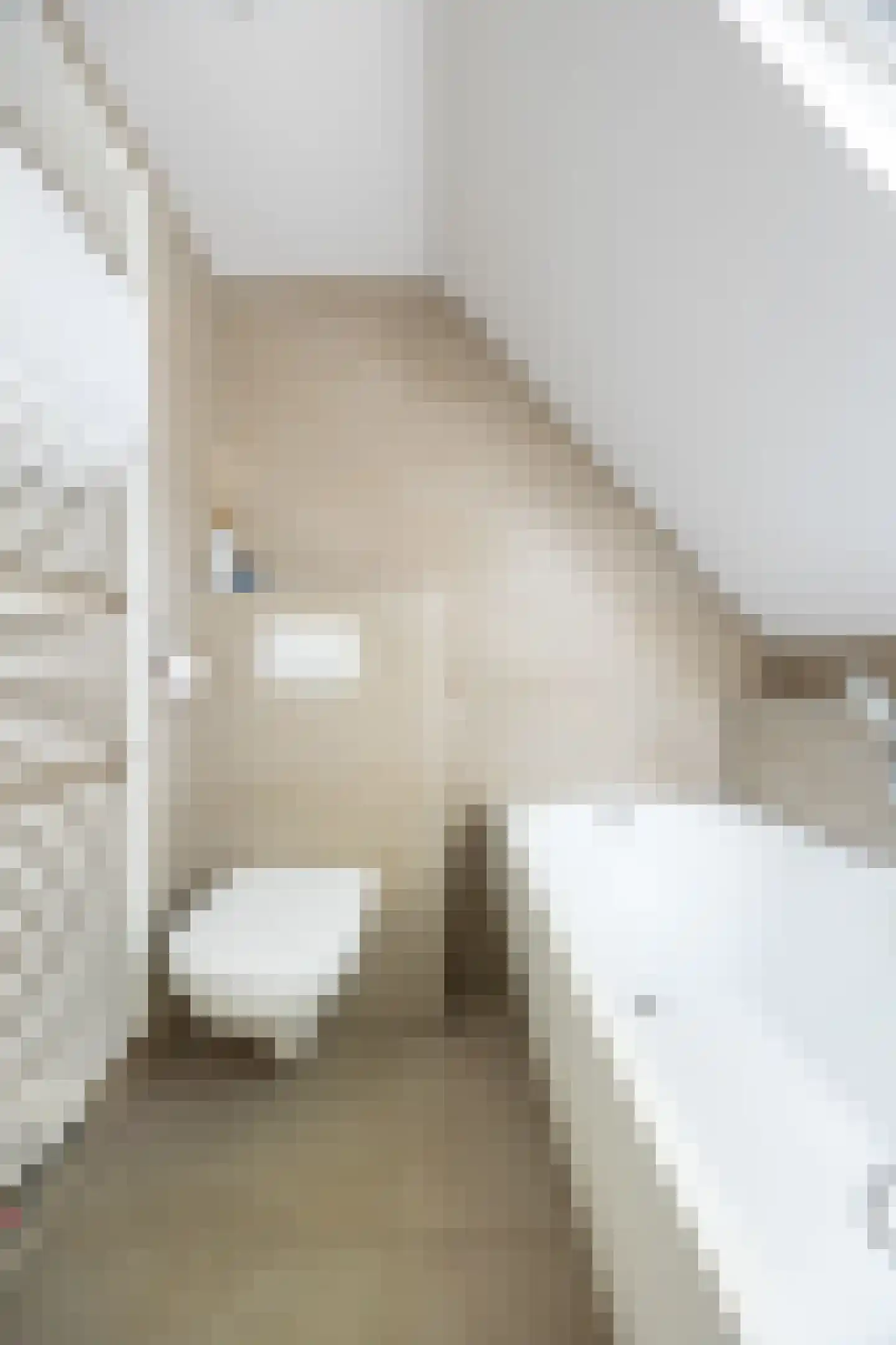 Carmelietenstraat 44 Waspik thumbnail 35