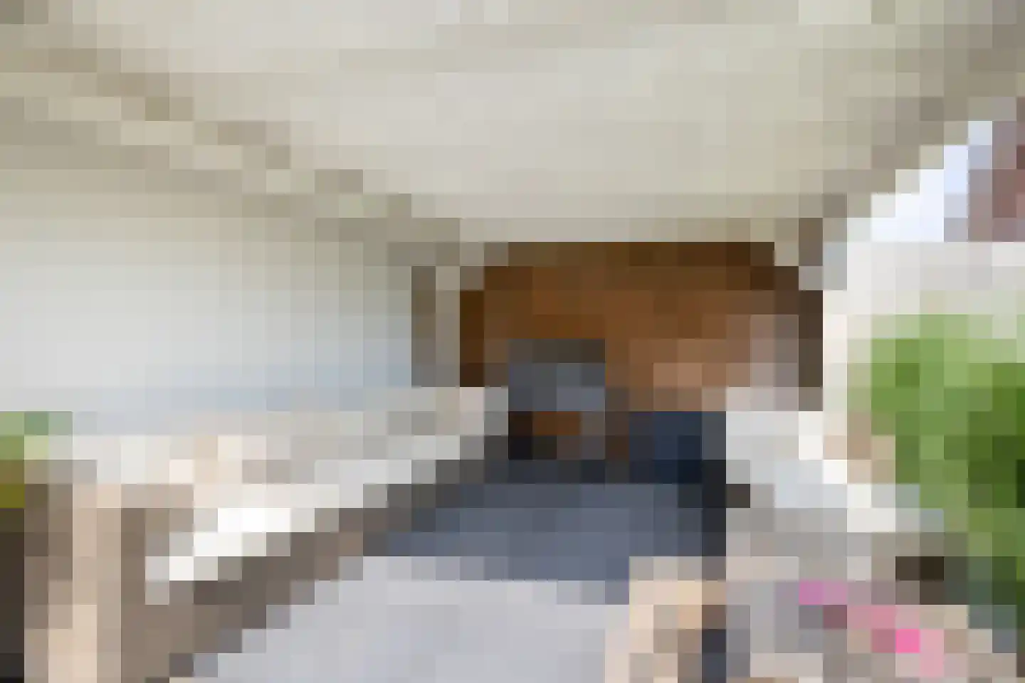 Carmelietenstraat 44 Waspik thumbnail 41