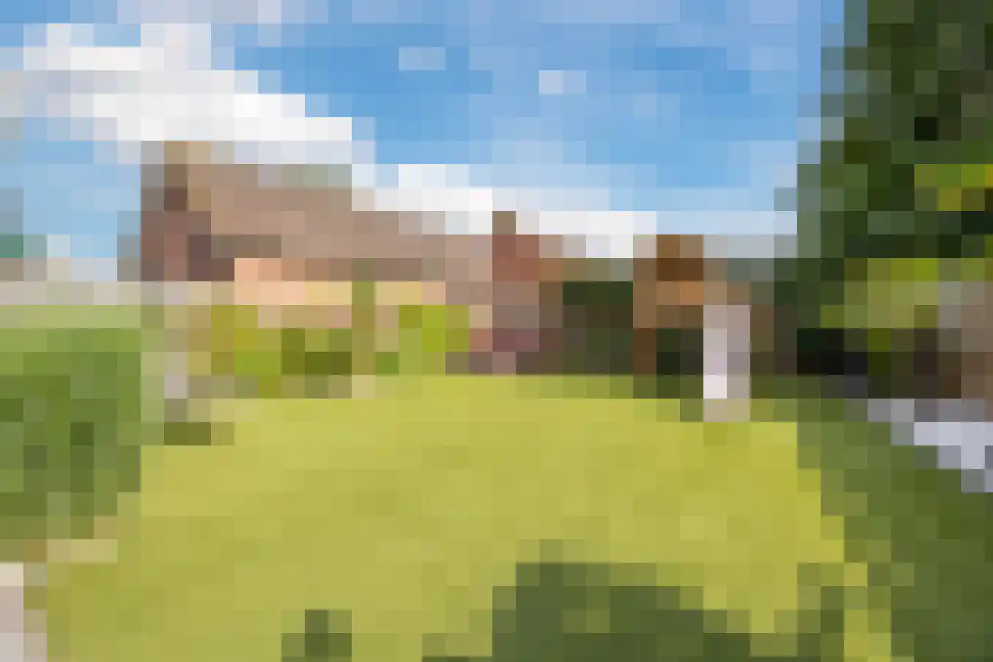 Carmelietenstraat 44 Waspik thumbnail 43