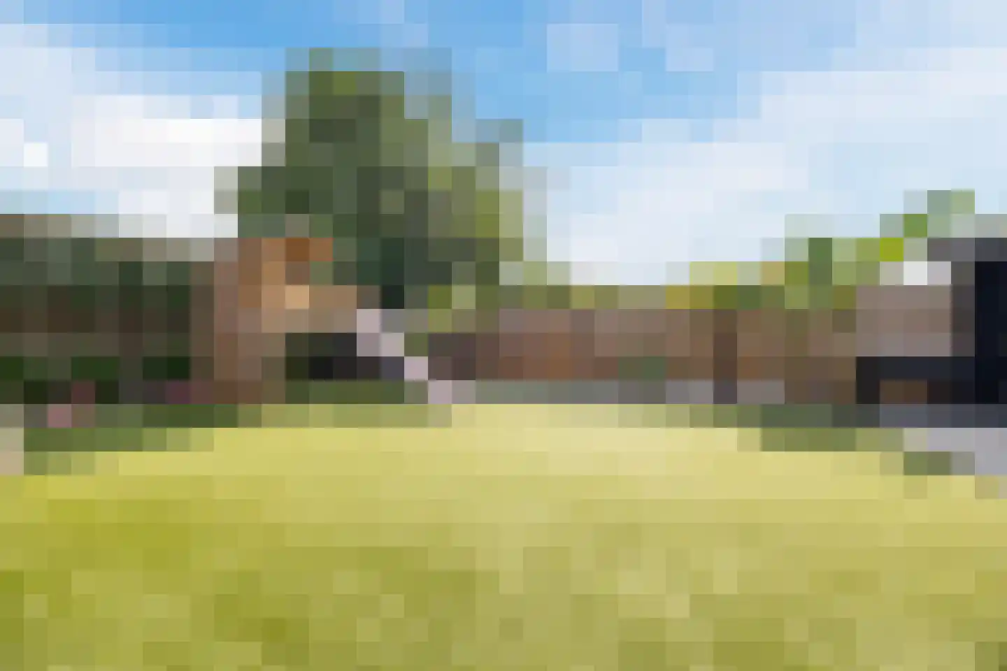 Carmelietenstraat 44 Waspik thumbnail 44