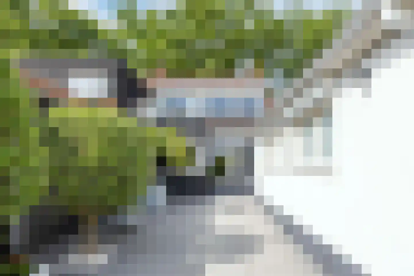 Carmelietenstraat 44 Waspik thumbnail 46