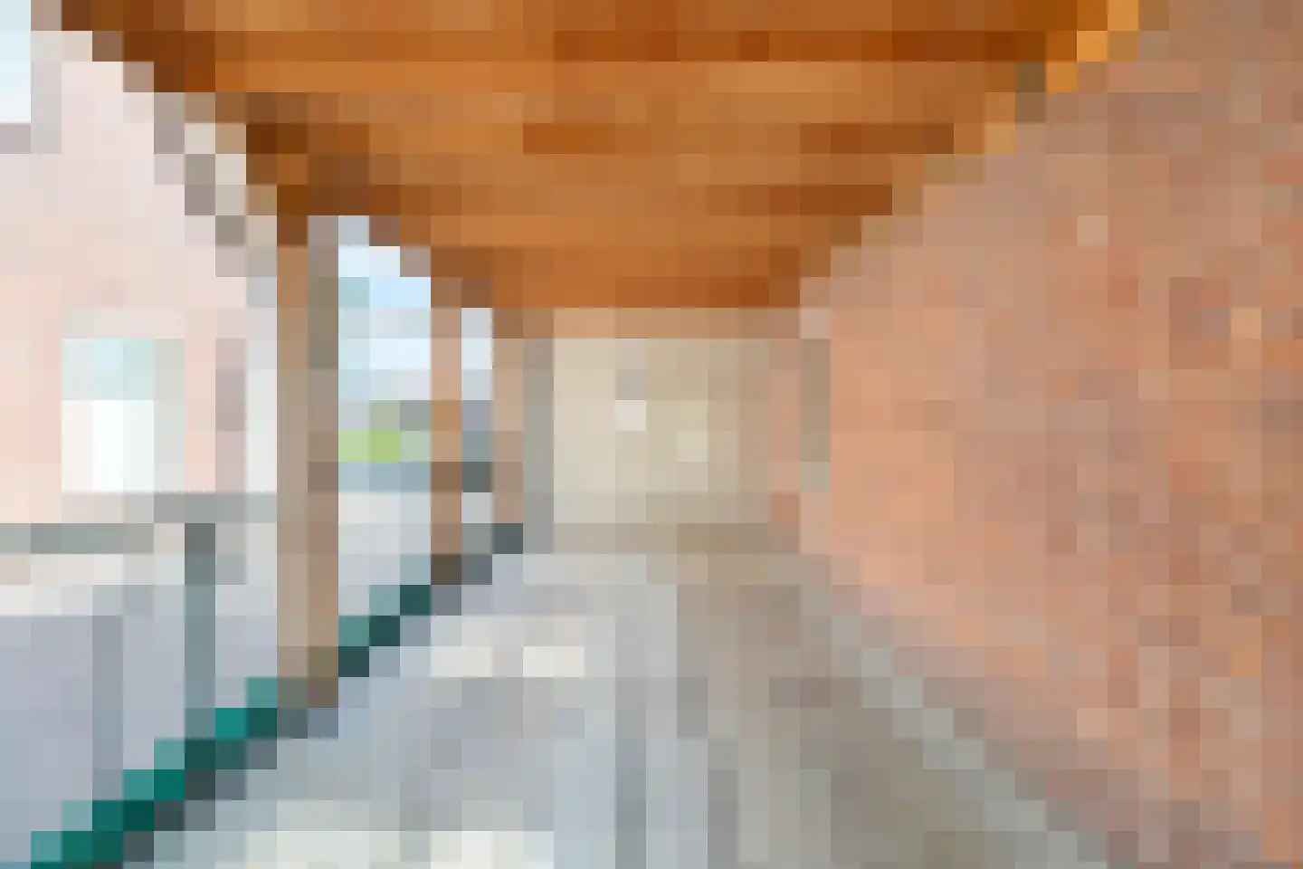 Carmelietenstraat 44 Waspik thumbnail 47