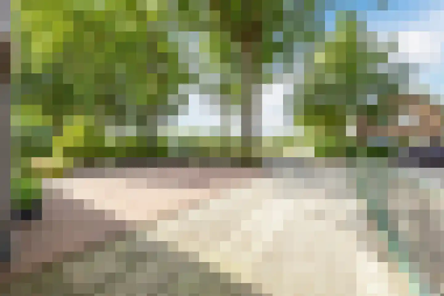 Carmelietenstraat 44 Waspik thumbnail 48