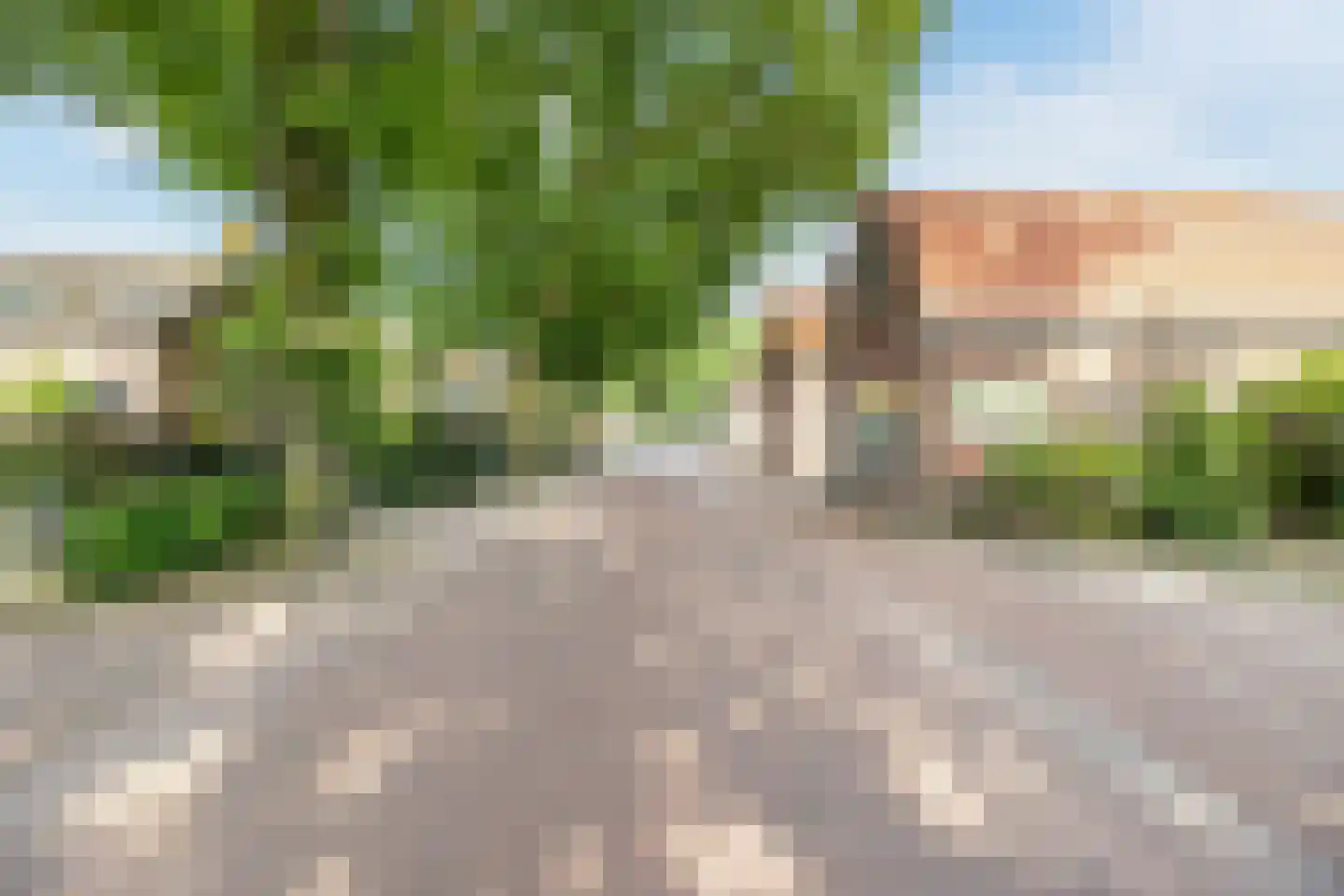 Carmelietenstraat 44 Waspik thumbnail 50