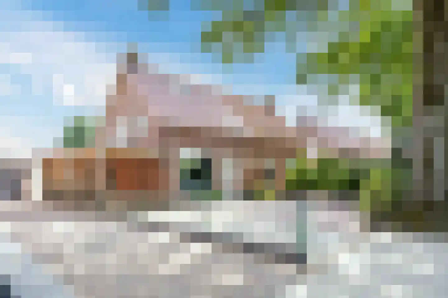 Carmelietenstraat 44 Waspik thumbnail 6