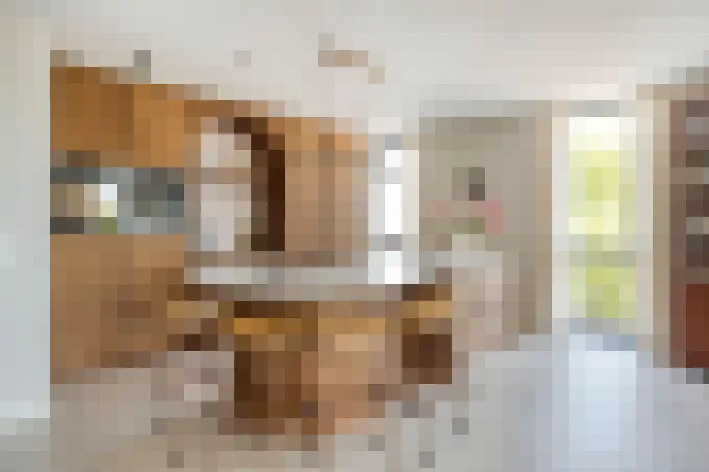 Carmelietenstraat 51 Oss thumbnail 11