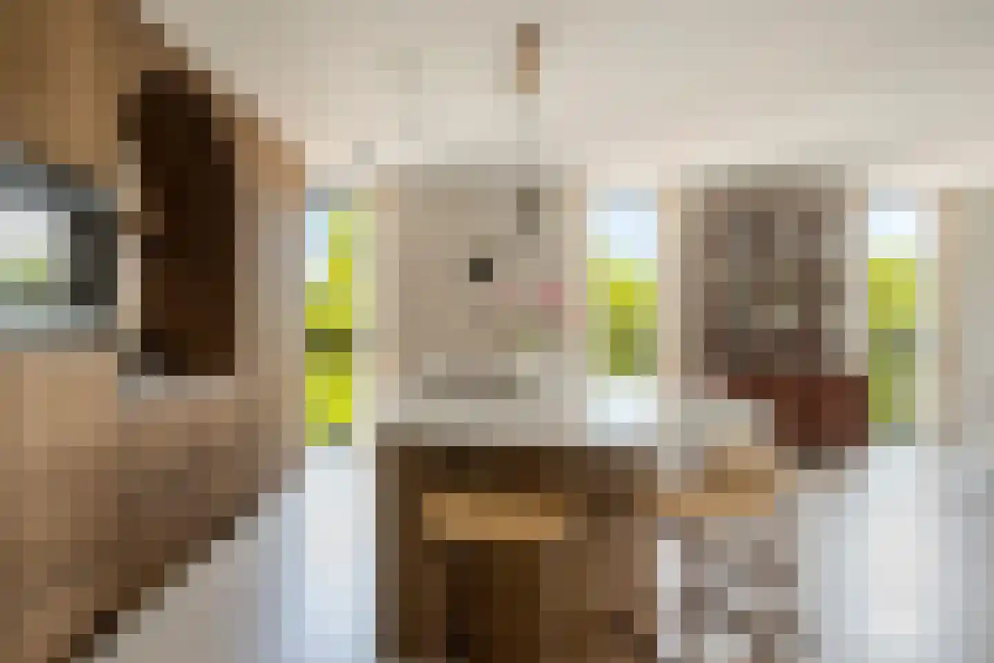 Carmelietenstraat 51 Oss thumbnail 12