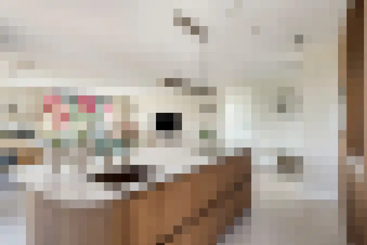 Carmelietenstraat 51 Oss thumbnail 13