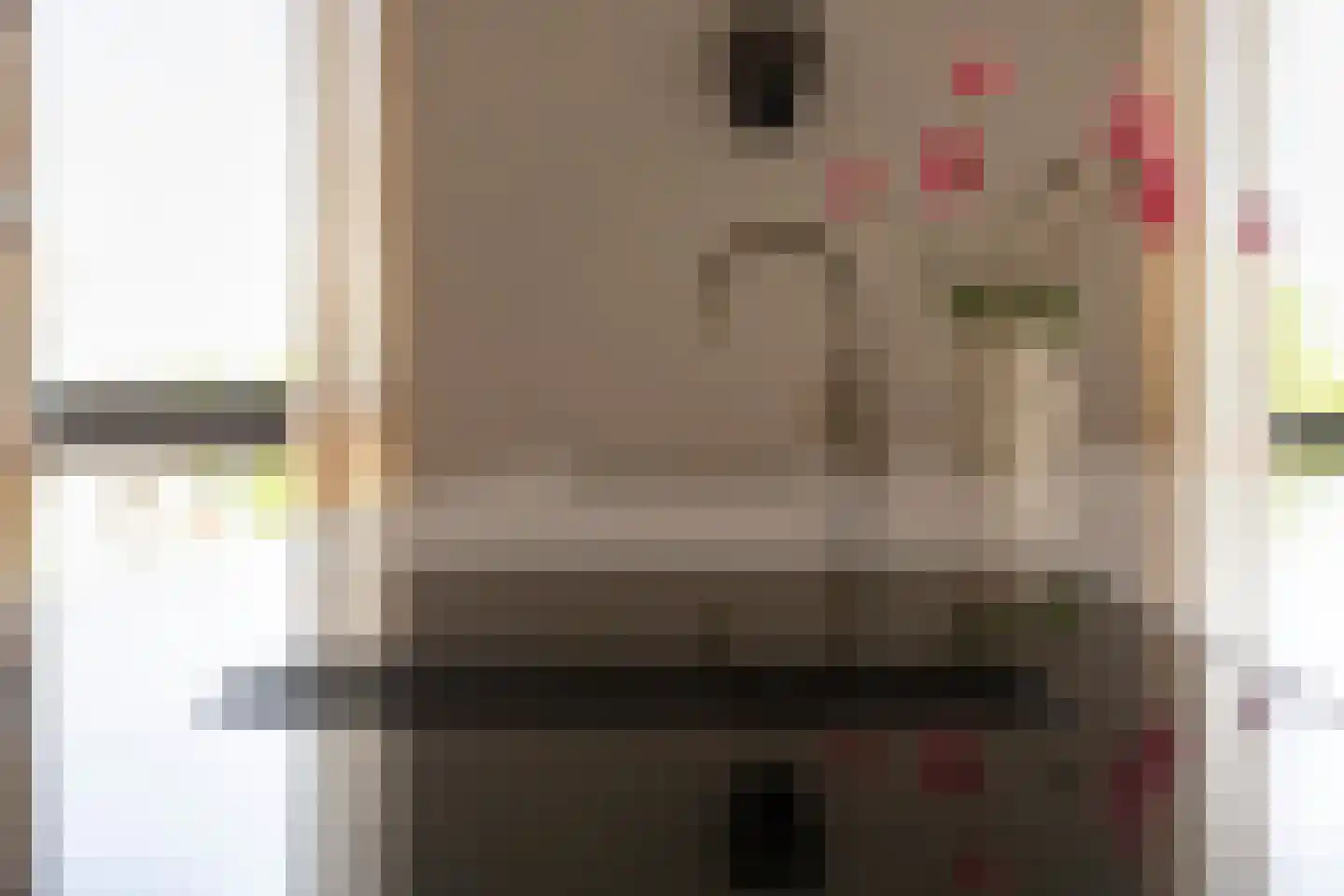Carmelietenstraat 51 Oss thumbnail 15