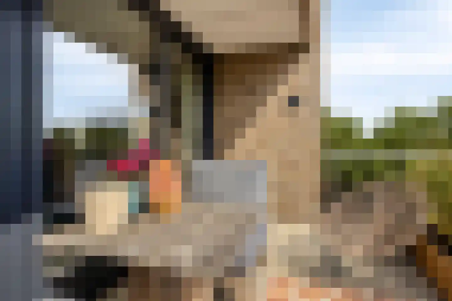 Carmelietenstraat 51 Oss thumbnail 16