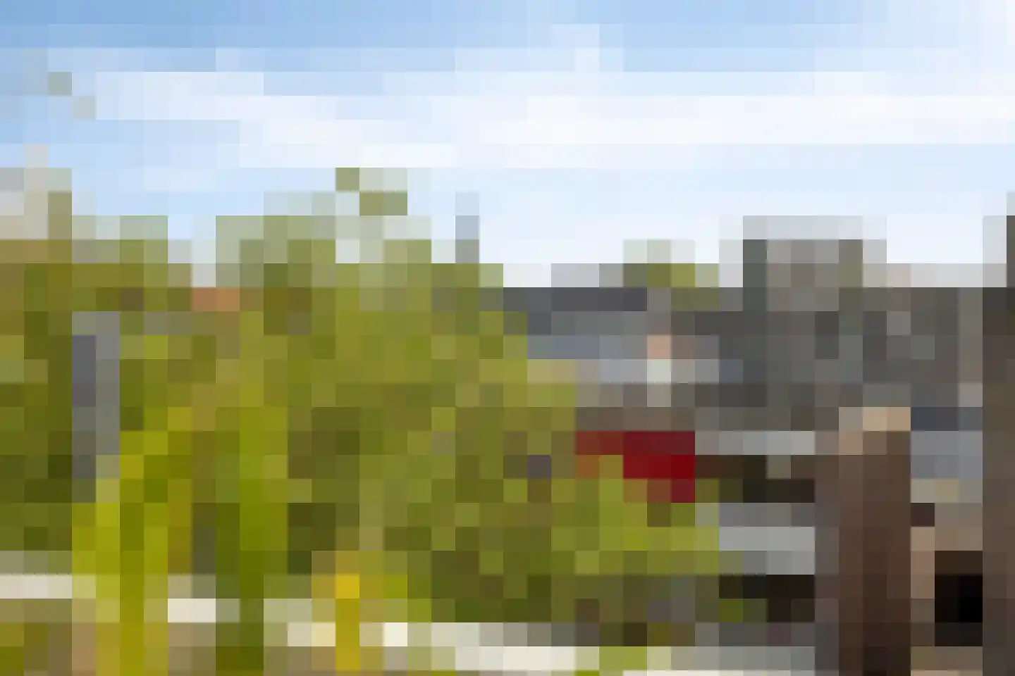 Carmelietenstraat 51 Oss thumbnail 18