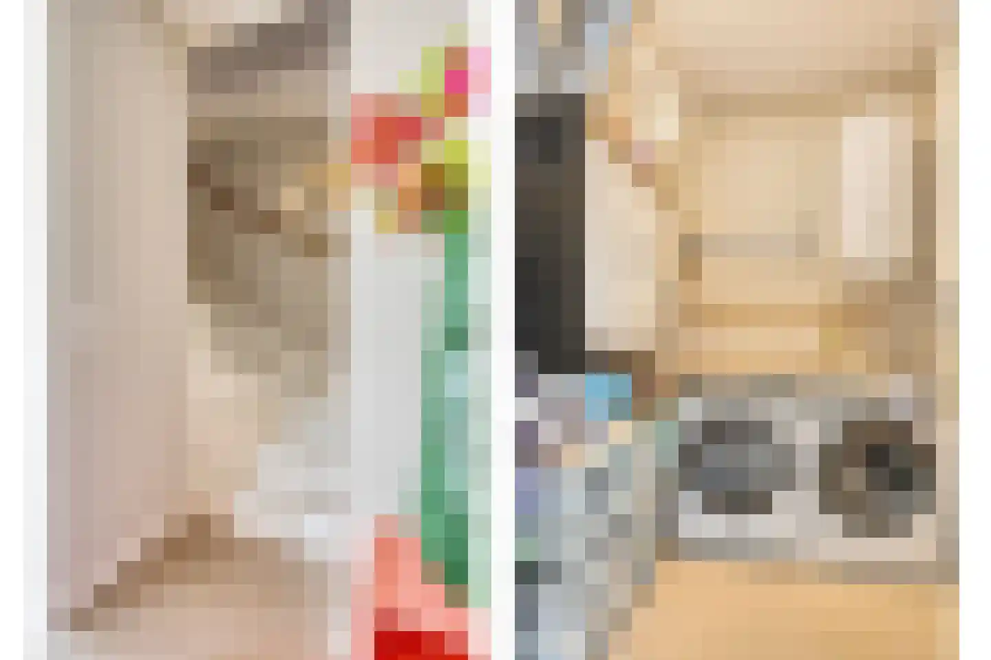 Carmelietenstraat 51 Oss thumbnail 20