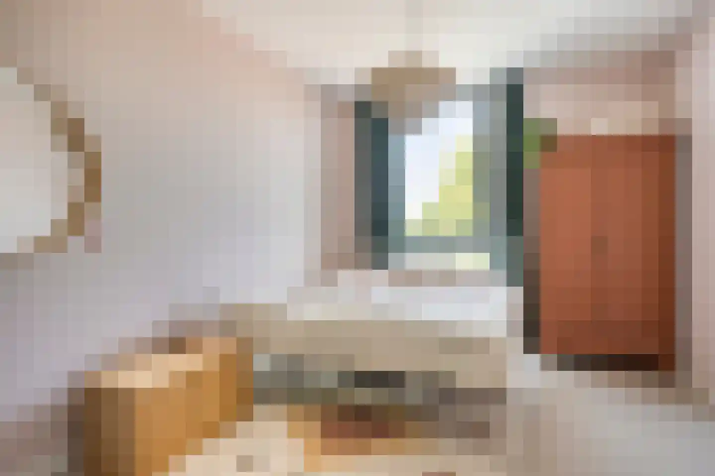 Carmelietenstraat 51 Oss thumbnail 21