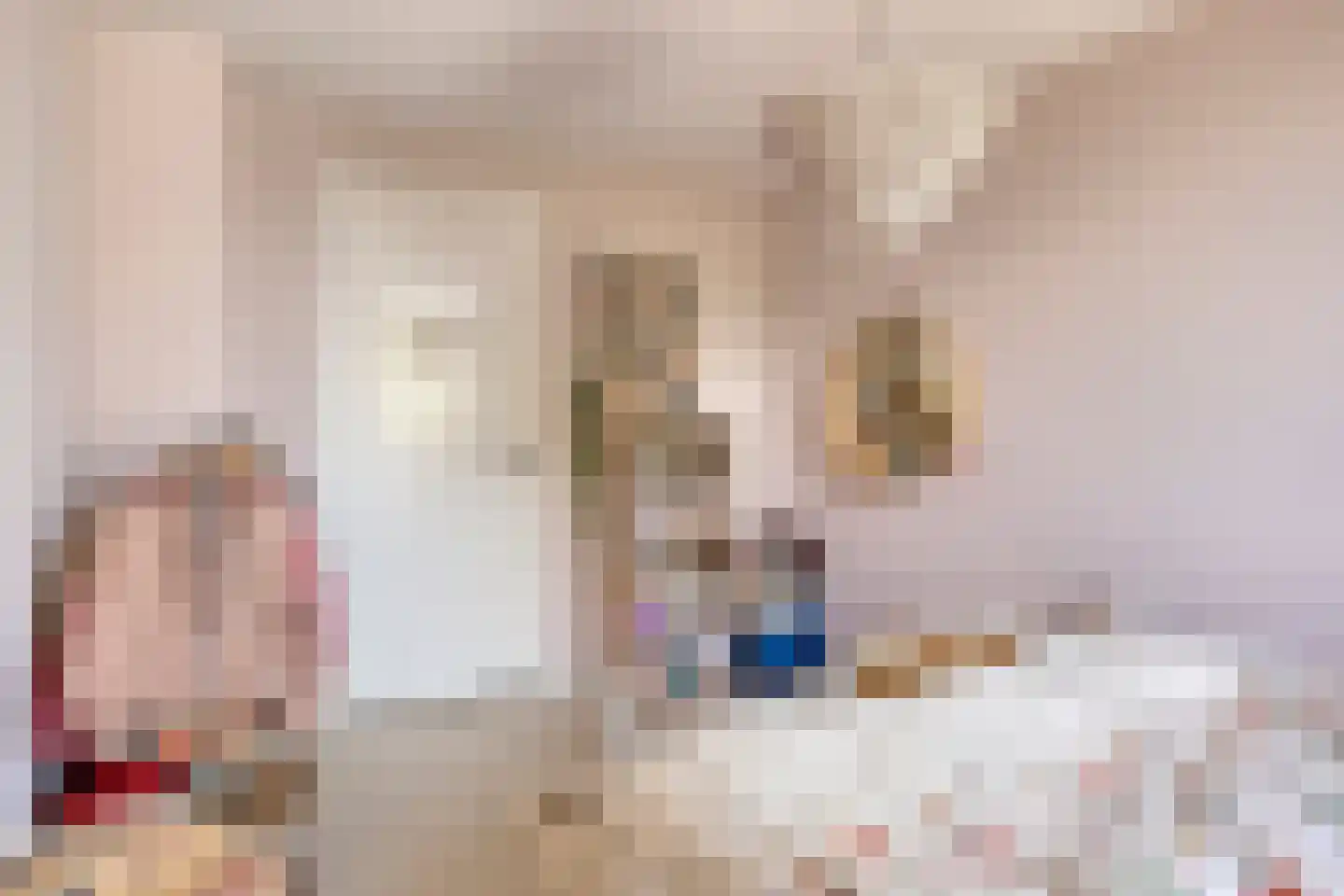 Carmelietenstraat 51 Oss thumbnail 22