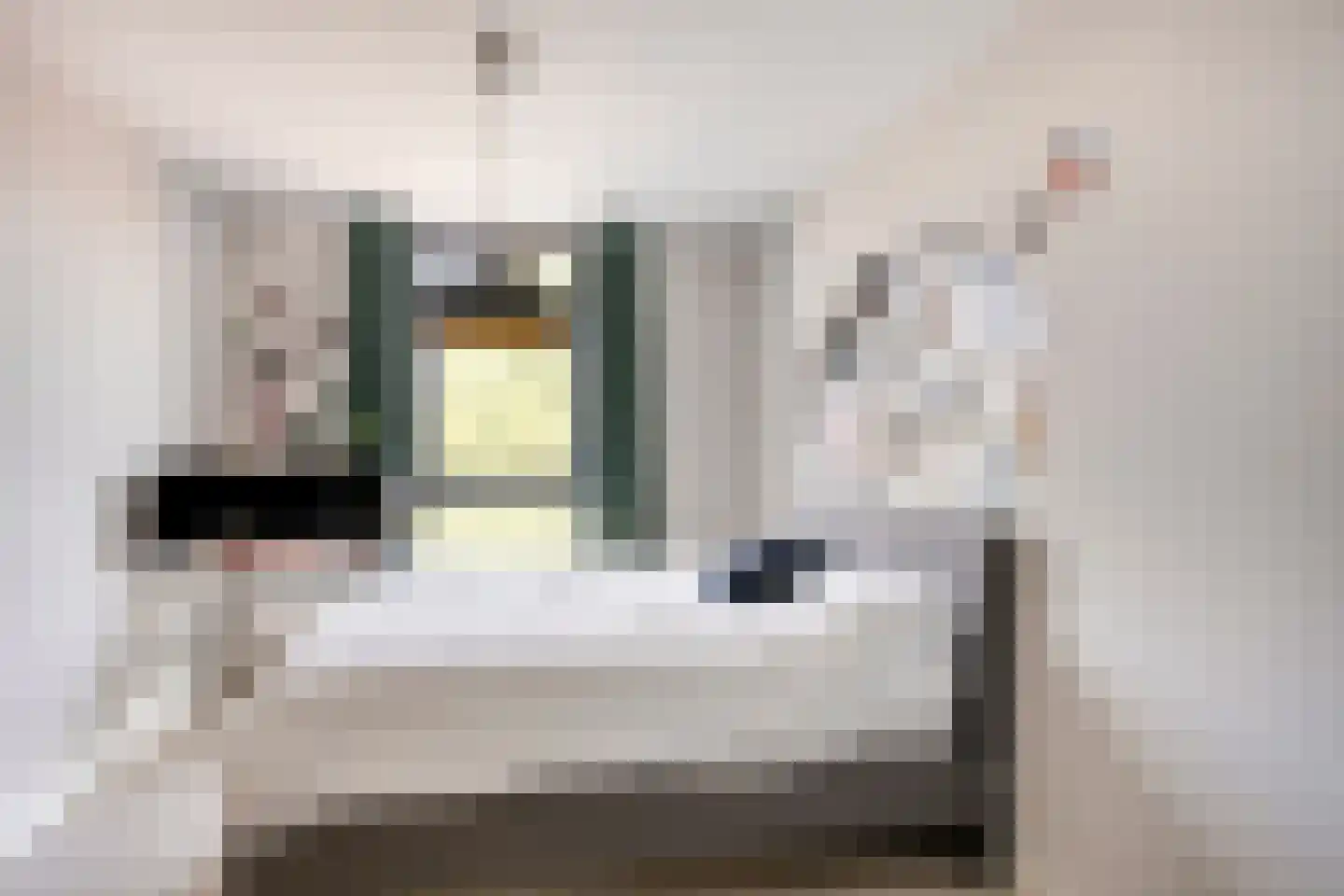 Carmelietenstraat 51 Oss thumbnail 23
