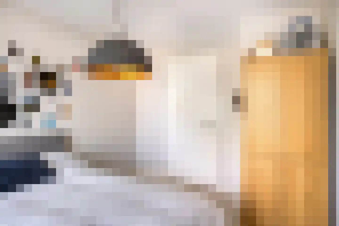 Carmelietenstraat 51 Oss thumbnail 24