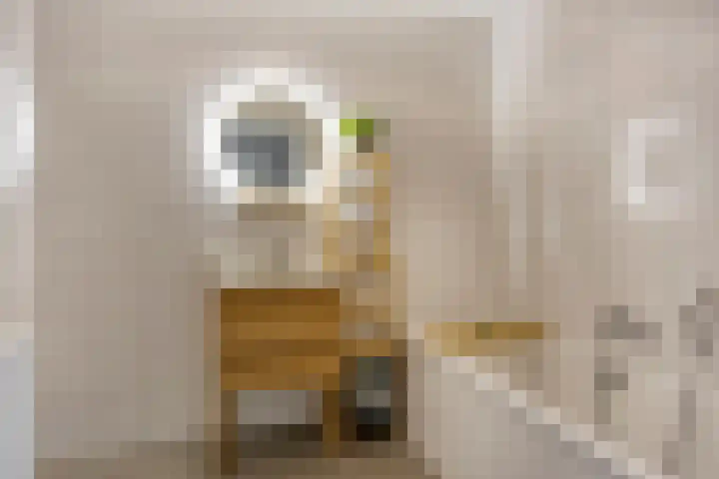 Carmelietenstraat 51 Oss thumbnail 25