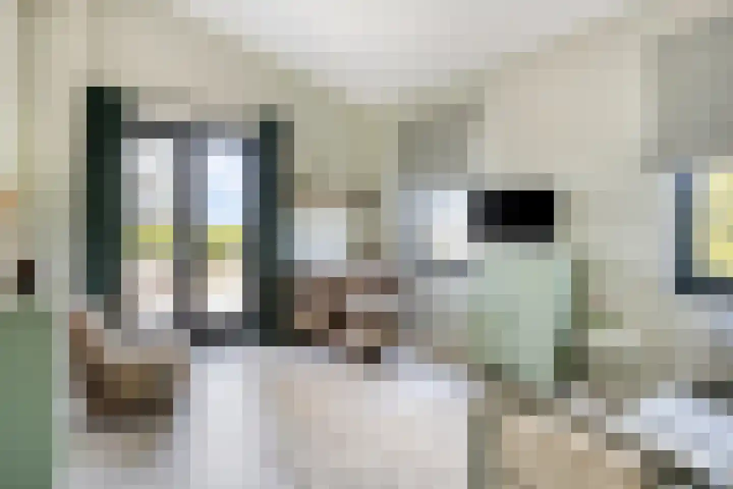 Carmelietenstraat 51 Oss thumbnail 28