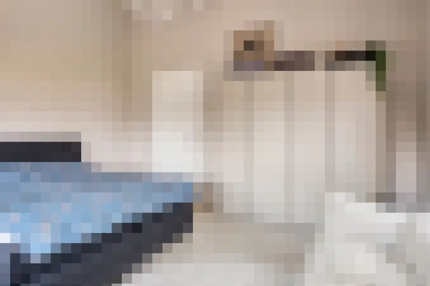 Carmelietenstraat 51 Oss thumbnail 31