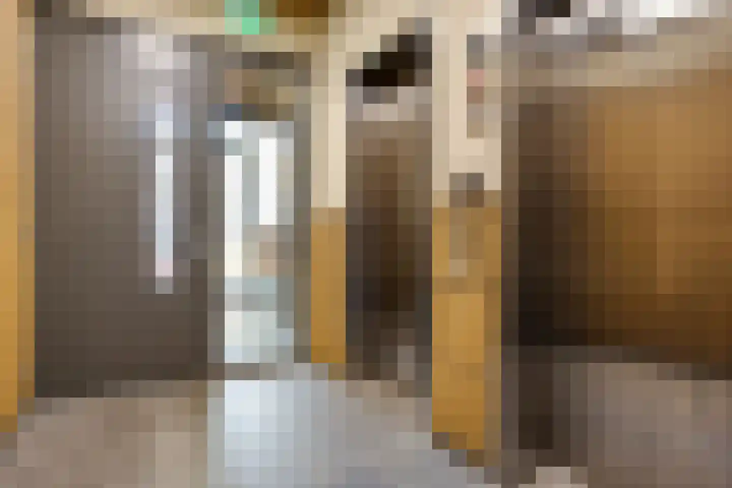 Carmelietenstraat 51 Oss thumbnail 40