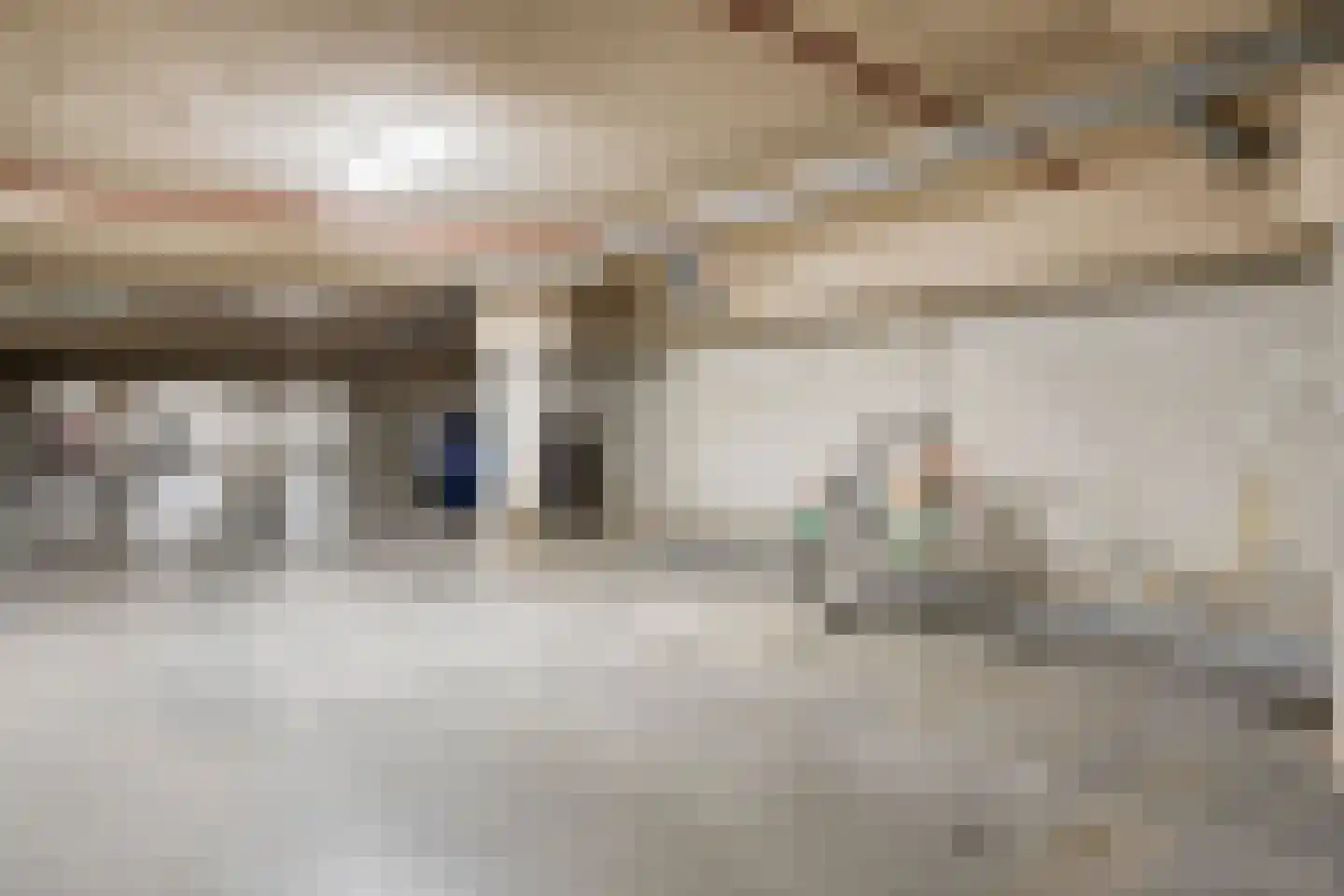 Carmelietenstraat 51 Oss thumbnail 42