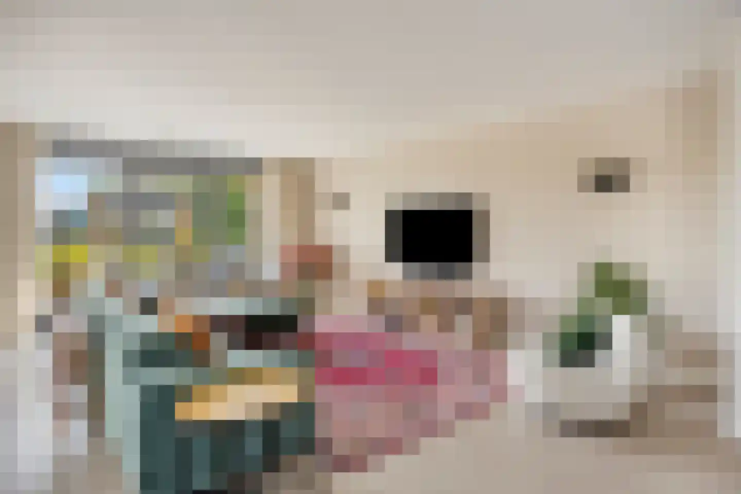 Carmelietenstraat 51 Oss thumbnail 6