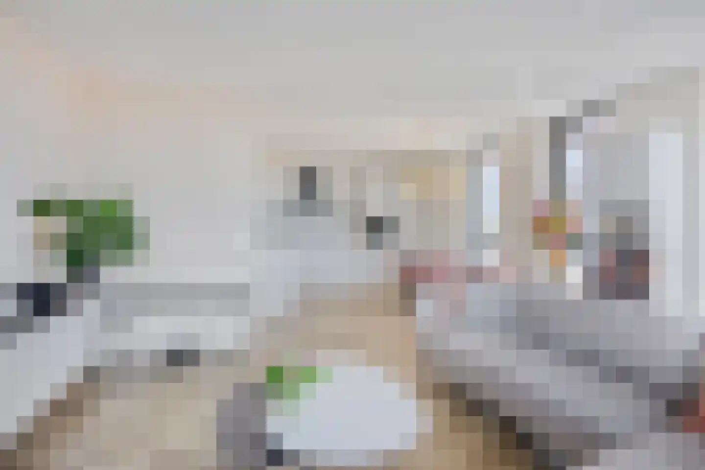 Carmelietenstraat 67 Oss thumbnail 11