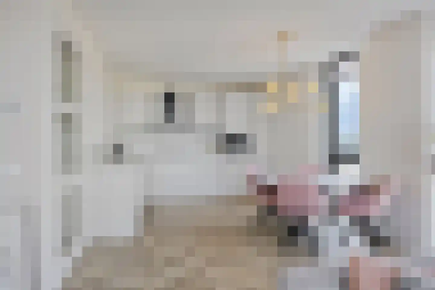 Carmelietenstraat 67 Oss thumbnail 12