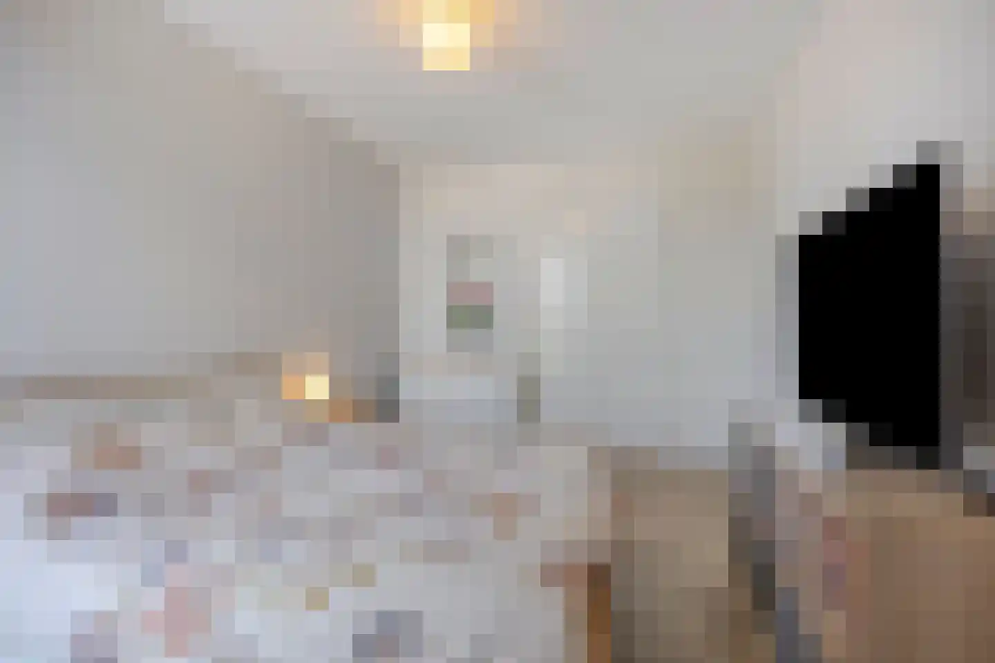 Carmelietenstraat 67 Oss thumbnail 15