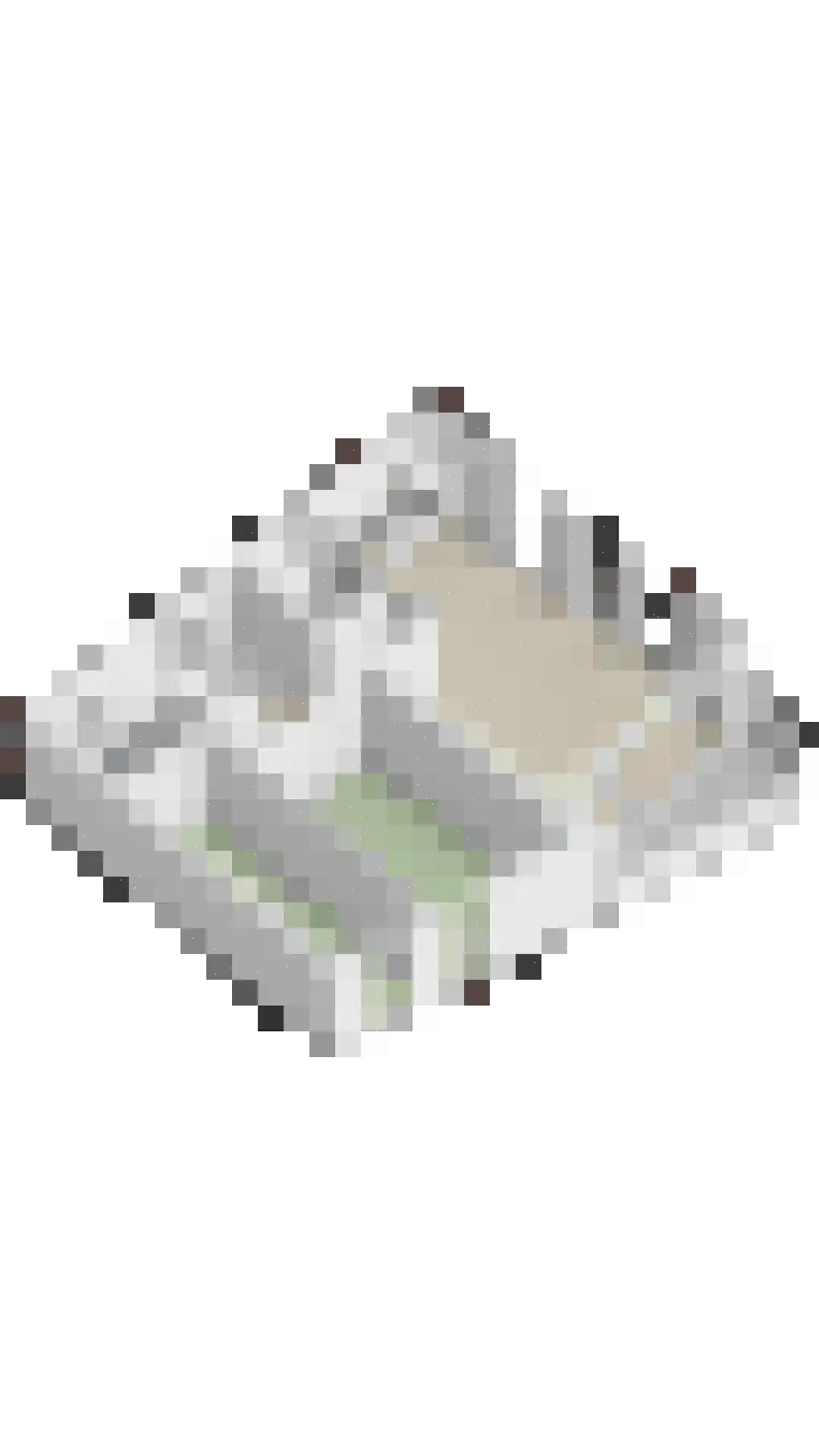 Carmelietenstraat 67 Oss thumbnail 34