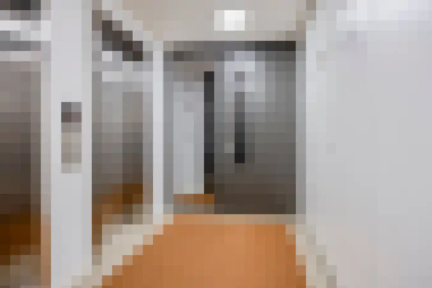 Carmelietenstraat 67 Oss thumbnail 7