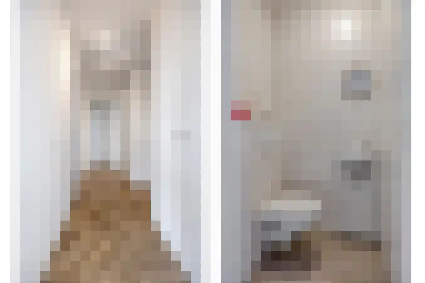 Carmelietenstraat 67 Oss thumbnail 8