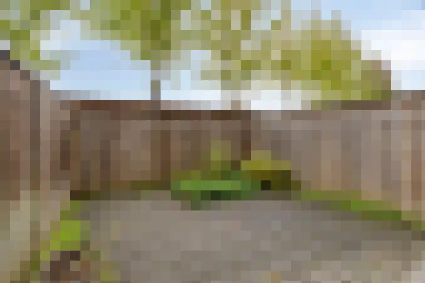 Carmelietenstraat-oost 2 d Boxmeer thumbnail 16