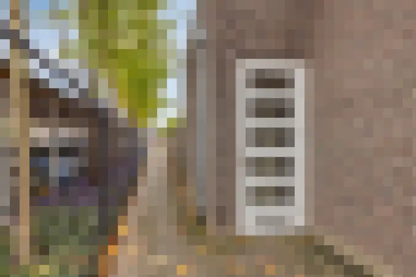 Carmelietenstraat-oost 2 d Boxmeer thumbnail 18