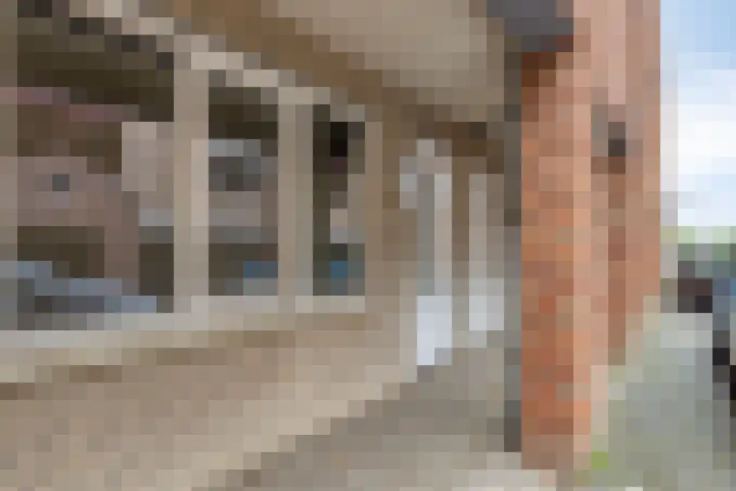 Carmelietenstraat-oost 2 d Boxmeer thumbnail 4
