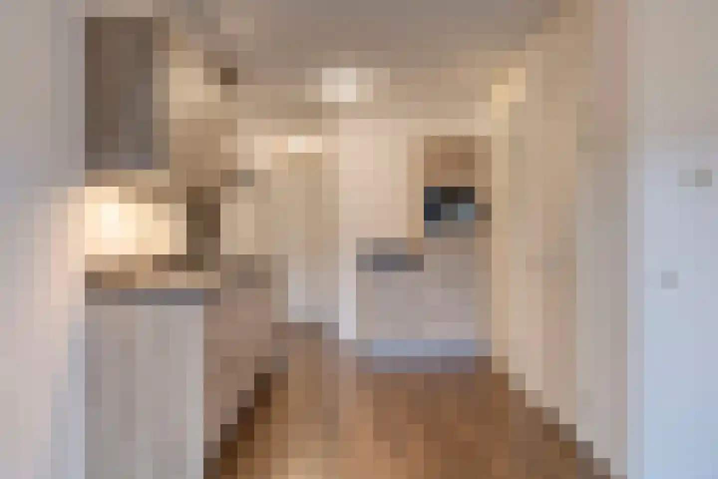 Carmelietenstraat-oost 2 d Boxmeer thumbnail 8