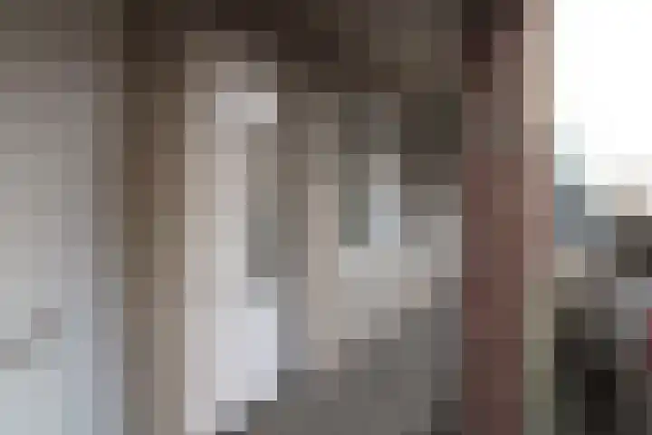 Carmelietenstraat-oost 2 g in Boxmeer