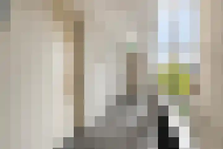Carmelietenstraat-oost 4 a Boxmeer thumbnail 10